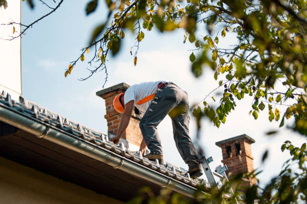 The Best Roofing Materials for Maple Grove Climate