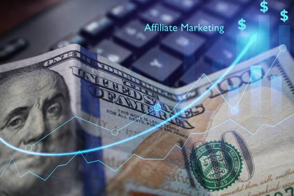 Growing Affiliate Revenue through Niche Blogging